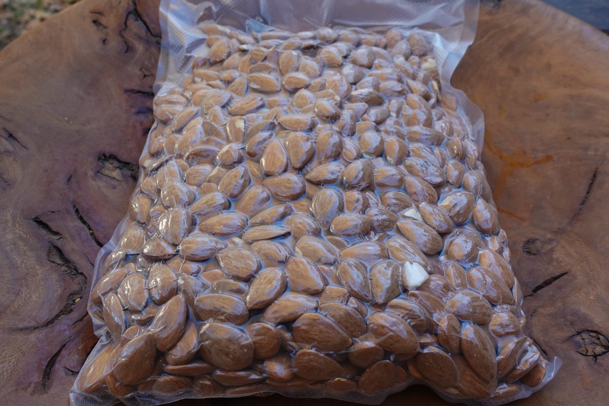 Amandes décortiquées Guara 2025