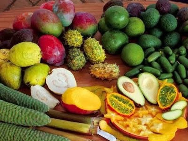 Fruits & légumes frais