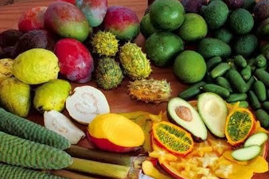 Fruits & légumes frais